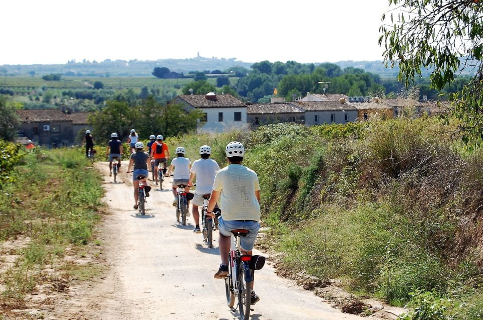 Penedès: Self-Guided Bike Tour With Winery Visit - Included Amenities