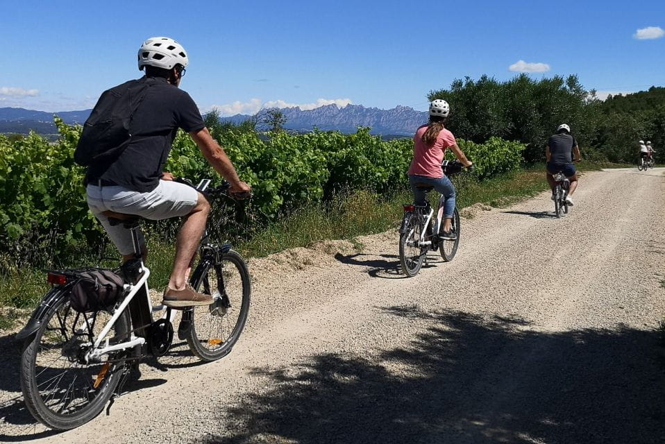 Penedès: Self-Guided Bike Tour With Winery Visit - Things To Know