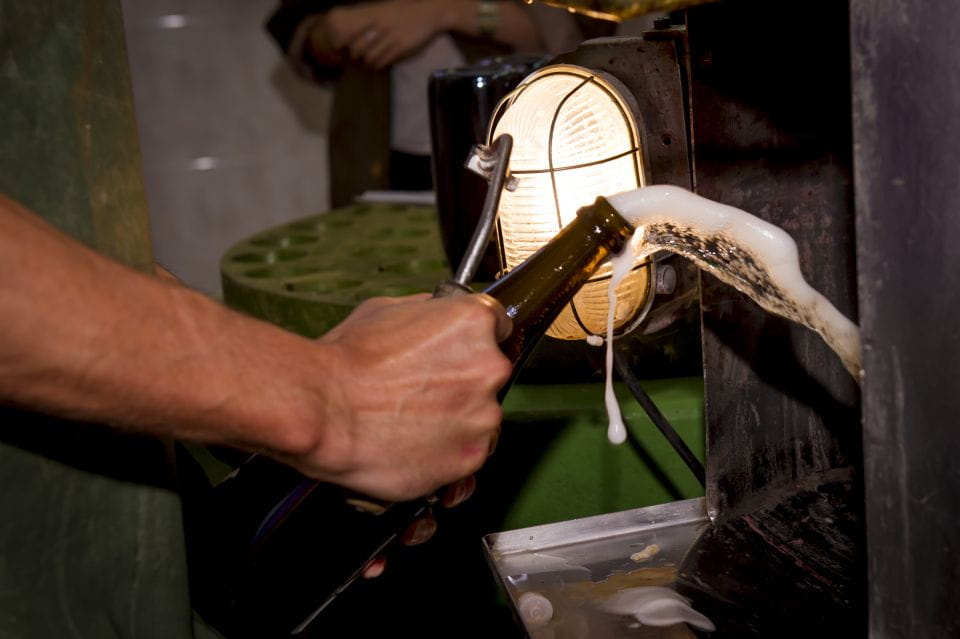 Penedès Vine to Wine: Personalized Cava Taste & Craft Workshop - Hands-on Cava Creation