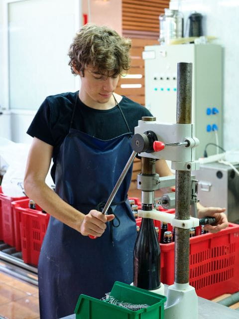 Penedès Vine to Wine: Personalized Cava Taste & Craft Workshop - Complimentary Pickup and Accessibility