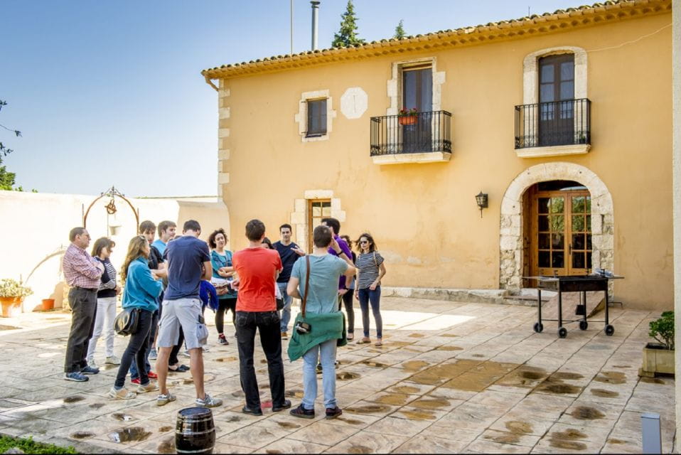 Penedès Vine to Wine: Personalized Cava Taste & Craft Workshop - Things To Know