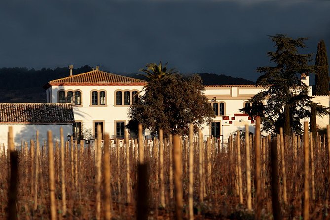 Penedes Wine & Cava Tasting & 4WD Vineyards Tour From Barcelona - Cancellation Policy