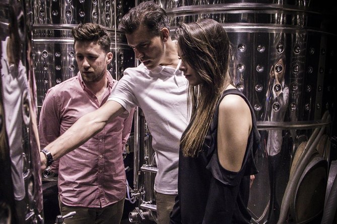 Penedes Wine & Cava Tasting & 4WD Vineyards Tour From Barcelona - Cava and Wine Tasting