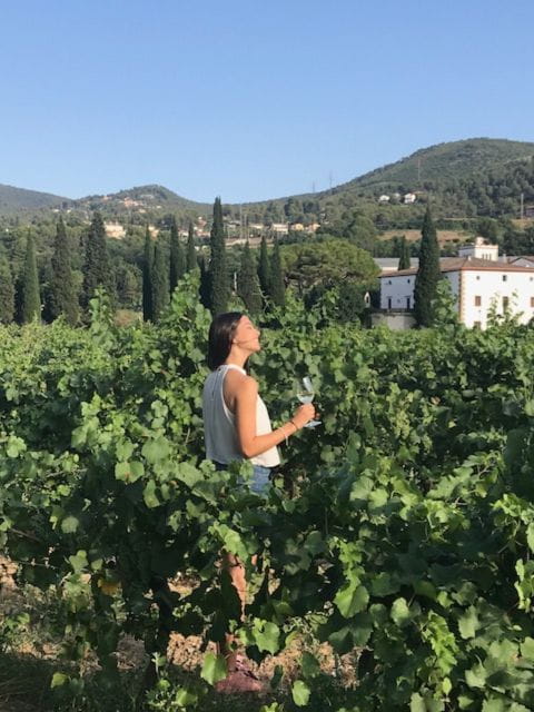 Penedes Wine Cellar Visit With Tasting From Barcelona - Cancellation and Booking Details