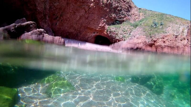 Peniche: Berlengas Island Catamaran Tour + Snorkeling - Snorkeling: Underwater Discoveries