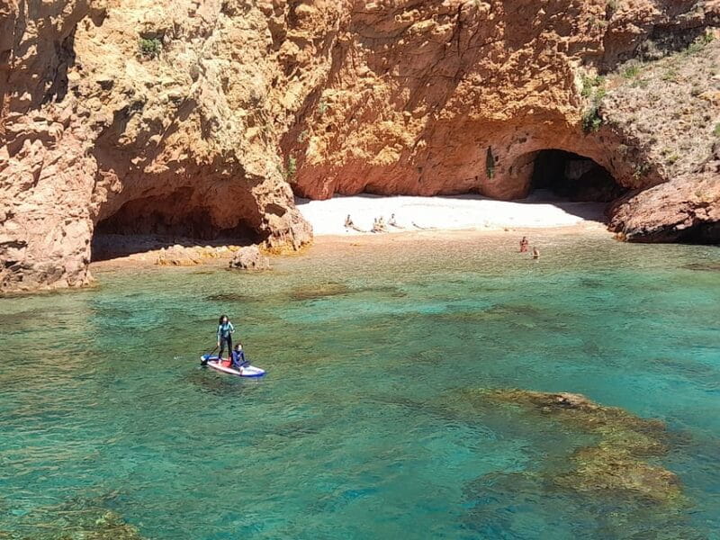 Peniche: Berlengas Island Catamaran Tour + Stand Up Paddle - Key Points / Takeaways