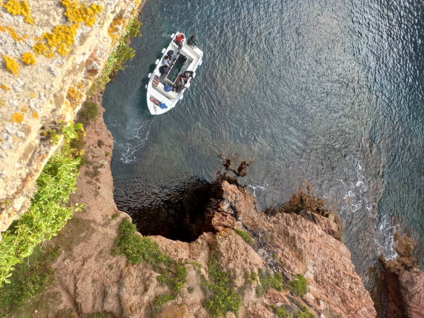 Peniche: Berlengas Roundtrip and Glass-Bottom Boat Cave Tour - Customer Feedback