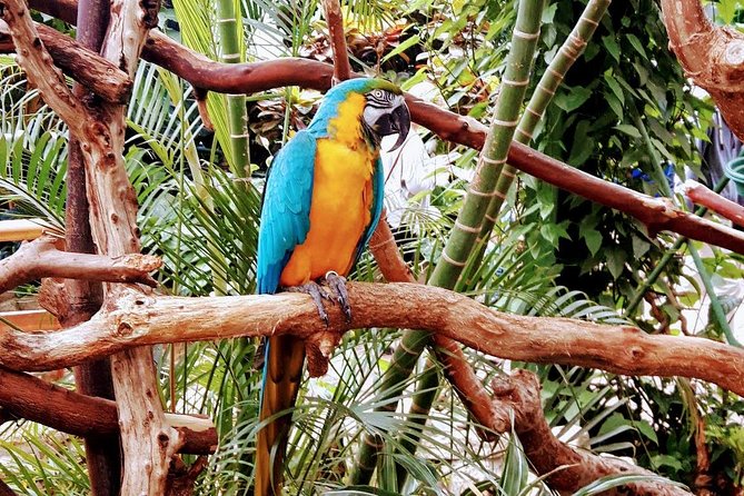 Peninsula Highlights - Seaside Vistas and Panoramic Views