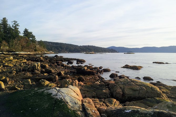 Peninsula Highlights - Peaceful Coastal Trails