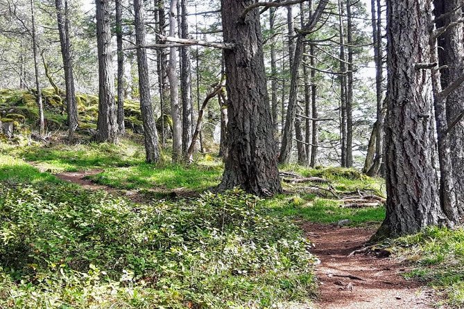 Peninsula Highlights - Quaint Island Towns