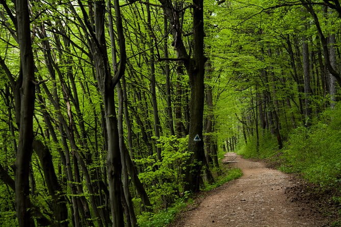 Perfect bike tour around Brasov - Key points / Takeaways