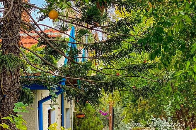 Perfect Day Trip to Beautiful Lefkara tour from Limassol. - FAQ