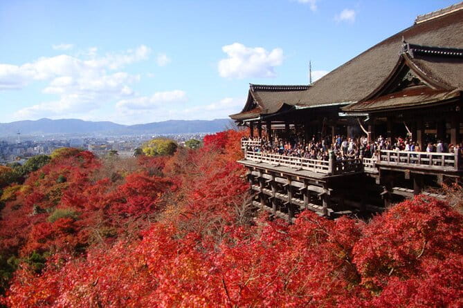 PERFECT KYOTO 1-Day Bus Tour - Key Points