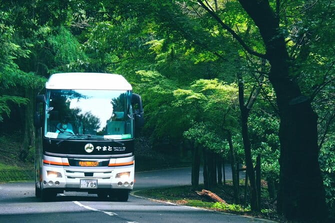 Perfect Nara Park Half-Day Bus Tour With English Speaking Guide - Meeting and Pickup Information
