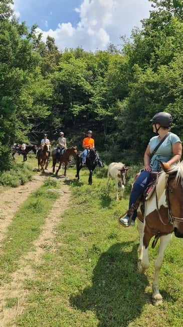Përmet: Amazing Horse Riding Experience at Vjosa NP - Who Will Love This Tour?