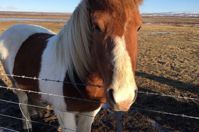 Personalised Travel Plan and itinerary for Iceland - Price and Overall Value