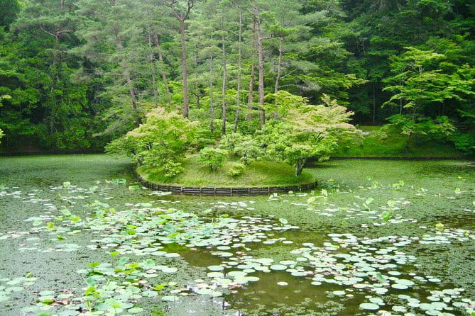 Personalized Half-Day Tour in Kyoto for Your Family and Friends. - Meeting and End Points