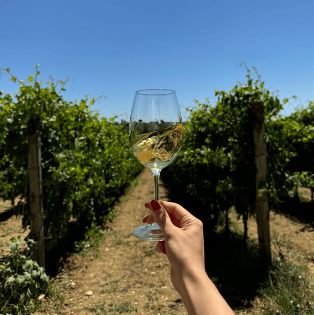 Perugia: Bike Tour and Wine Tasting in the Vineyards - Exploring Umbrian Beauty on Two Wheels