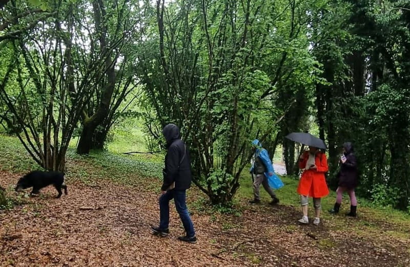 Perugia: Truffle Tasting & Museum Tour in Umbria - Price and Value