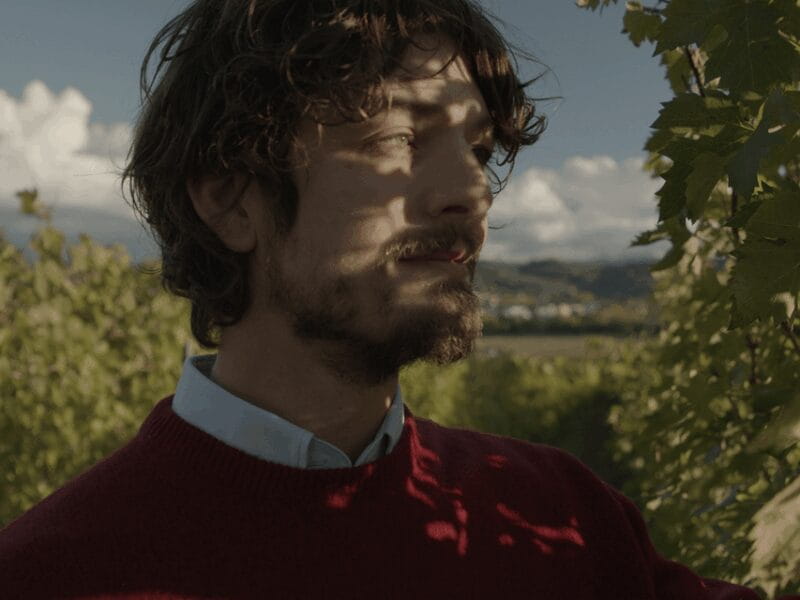 Perugia Winery Visit & Tasting near the Lake Trasimeno - Price and Practicalities