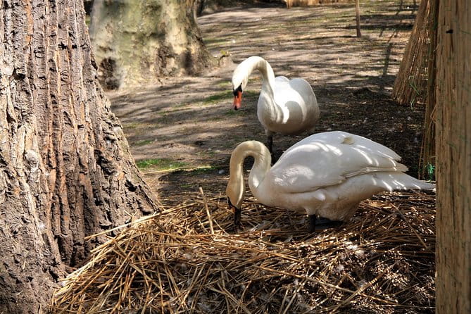 Photo Tour "Philip the Good" + Boat trip - Who Should Consider This Tour?