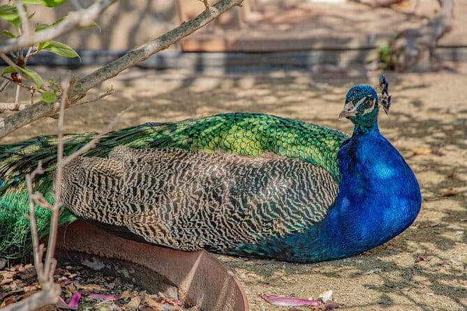 Photogenic Prague 6 hours tour by Car - Hidden Charm of Nový Svět and Kampa Park
