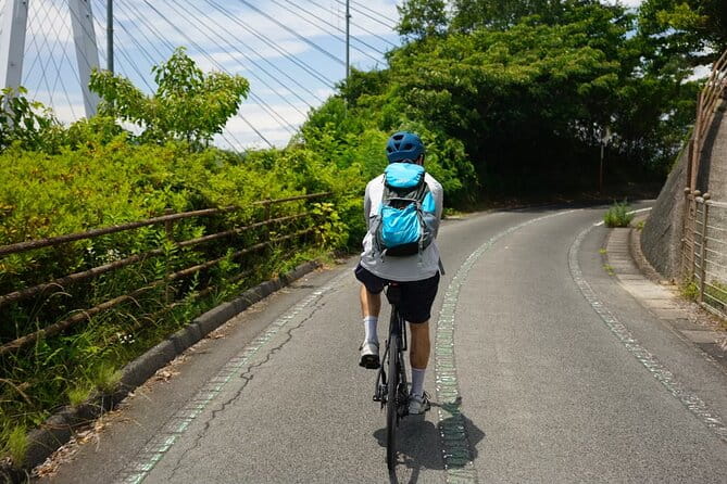 Photogenic Shimanami Kaido Private Cycling Tours ~3 Routes~ - Route 3: Omishima to Imabari