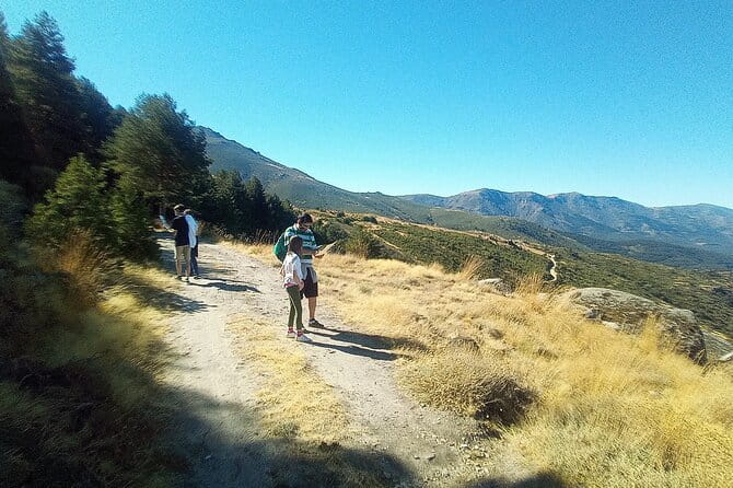 Photorouting - Key Points / Takeaways