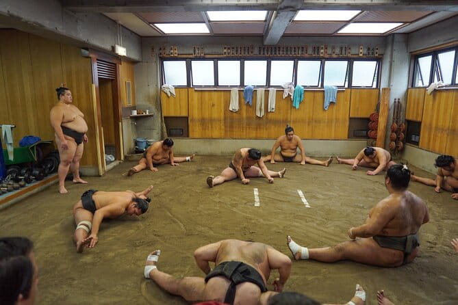 [Photos With Wrestlers] Exclusive Access to Sumo Morning Practice - Pricing and Inclusions
