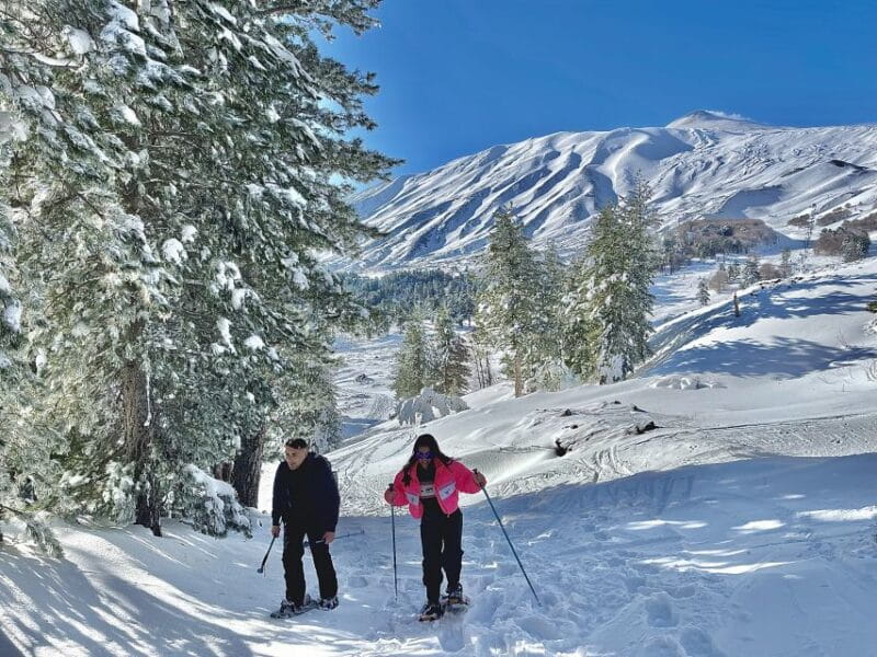 Piano Provenzana: Guided Mt. Etna Snowshoeing Trek - Key Points / Takeaways
