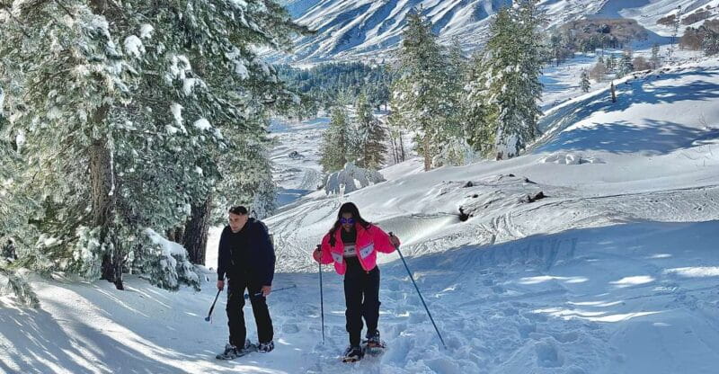Piano Provenzana: Guided Mt. Etna Snowshoeing Trek - Setting the Scene: What Makes This Tour Special?
