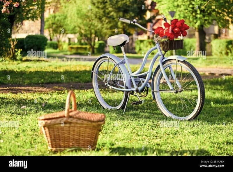 Picnic in the middle of a vineyard by e-bike - Final Thoughts: Who Will Love This?