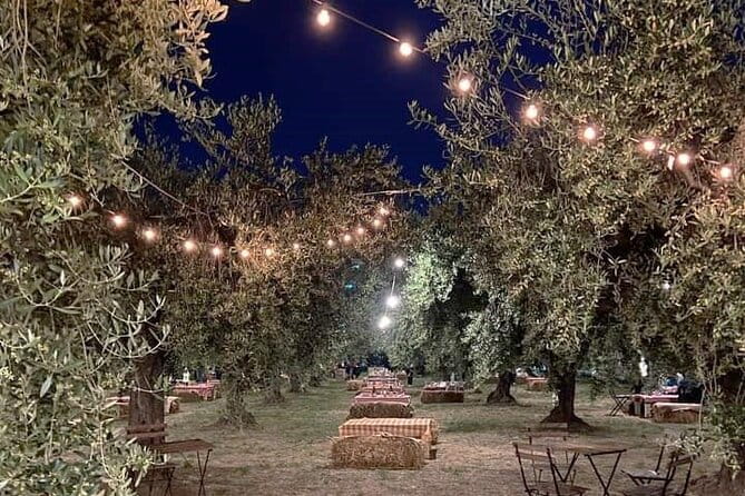 Picnic in the Moonlight on the Costa dei Trabocchi - A Deep Dive into the Experience