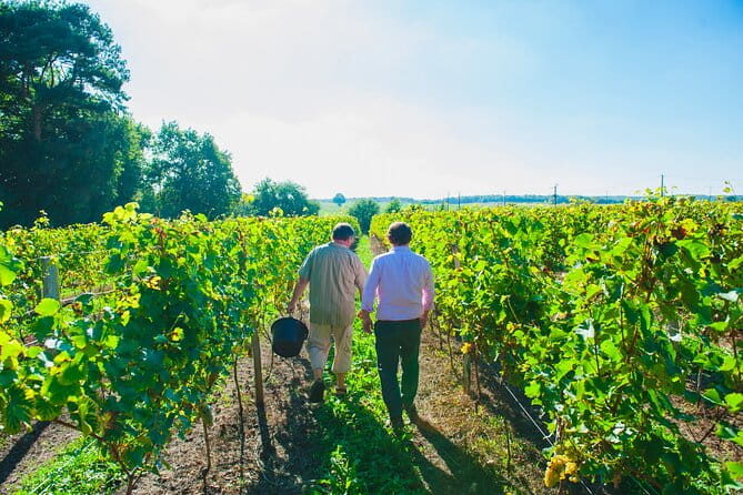 Picnic in the Vines - A Unique Loire Wine Experience - Who Will Love This Tour?