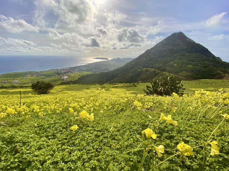 Pico Castelo & Pico Facho Vereda: Walk with Spectacular View - The Guides: Passionate and Knowledgeable