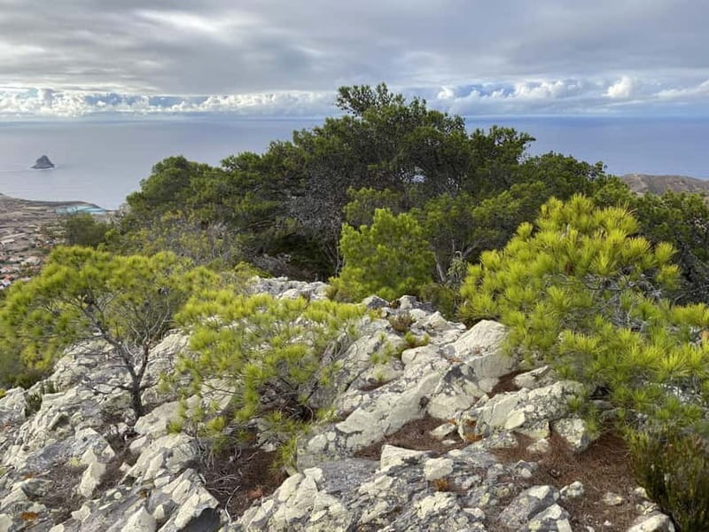 Pico Castelo & Pico Facho Vereda: Walk with Spectacular View - Price and Logistics