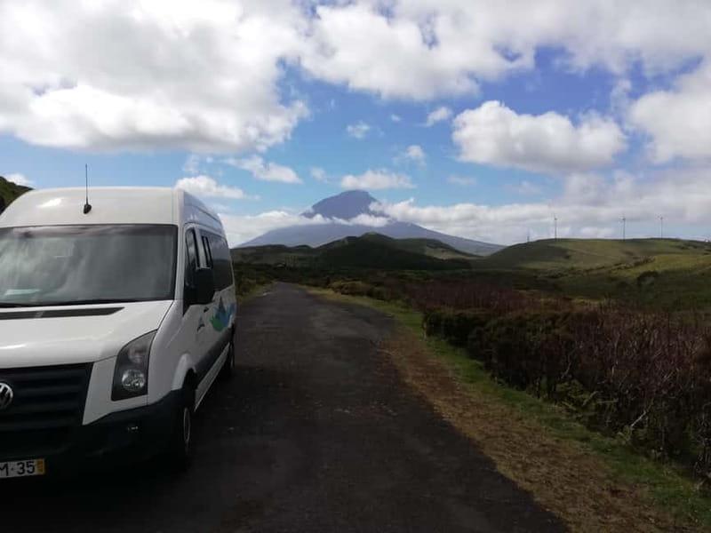 Pico Island: Tours on Pico Island - Who Will Appreciate This Tour Most?