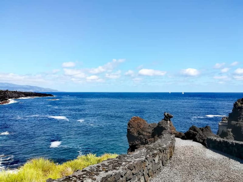 Pico Island: Tours on Pico Island - Price and Value