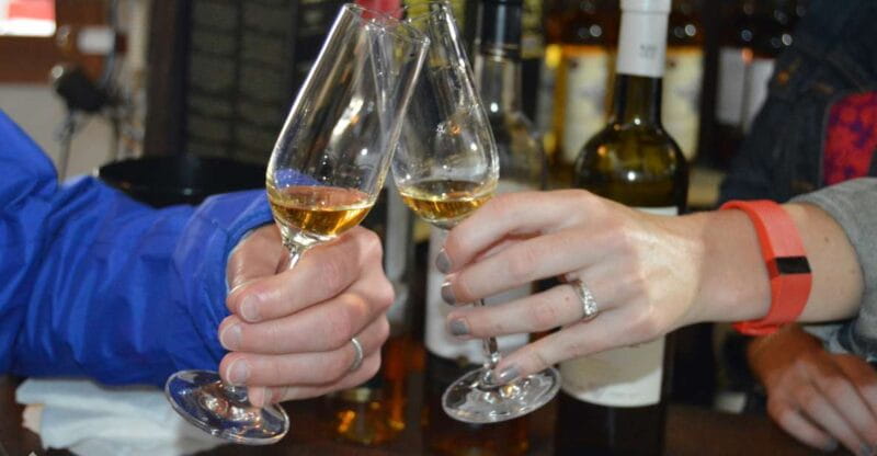 Pico Wine Tour: Get to know Pico's wines - Pico Wine Tour: Get to know Picos wines