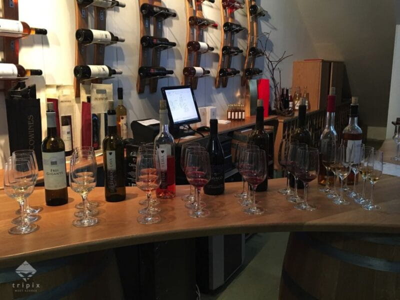 Pico Wine Tour: Get to know Pico's wines - Who Is This Tour Best For?