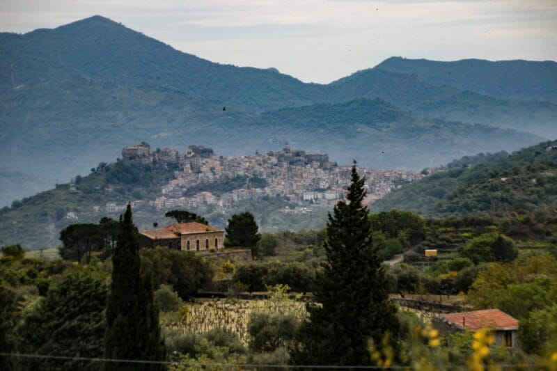 Piedimonte Etneo: Etna Wine Train Tour & Sicily Wine tasting - Key points / Takeaways