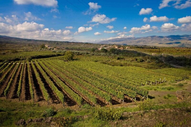 Piedimonte Etneo: Etna Wine Train Tour & Sicily Wine tasting - The Highlights: Why You Should Consider It