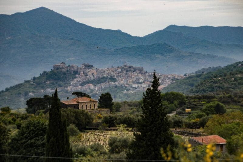 Piedimonte Etneo: Etna Wine Train Tour & Sicily Wine tasting - Who Is This Tour Best For?