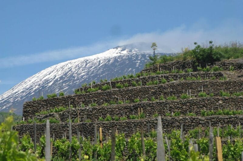 Piedimonte Etneo: Etna Wine Train Tour & Sicily Wine tasting - Final Thoughts