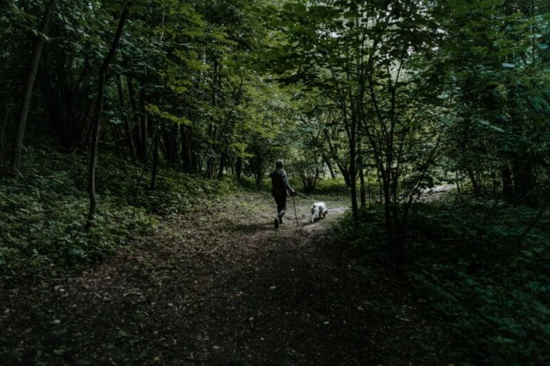 Piedmont: Private Truffle Hunting Tour with Truffle Tasting - A Genuine Taste of Piedmont: Private Truffle Hunting and Tasting Experience