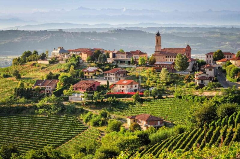 Piedmont Private Wine and Food Tour with Tastings - Who Will Love This Tour?