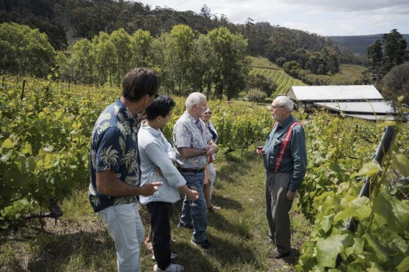 Piedmont Private Wine and Food Tour with Tastings - What to Expect on the Day