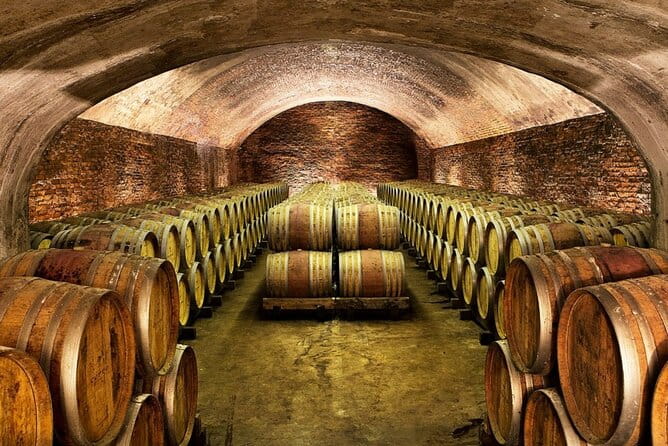 Piemonte Vineyards by Yourself from Turin - Business Car with English Chauffeur - FAQ