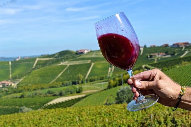 Piemonte Vineyards by Yourself from Turin by Luxury Van with English Chauffeur - Exploring Piemonte Vineyards from Turin: An In-Depth Look