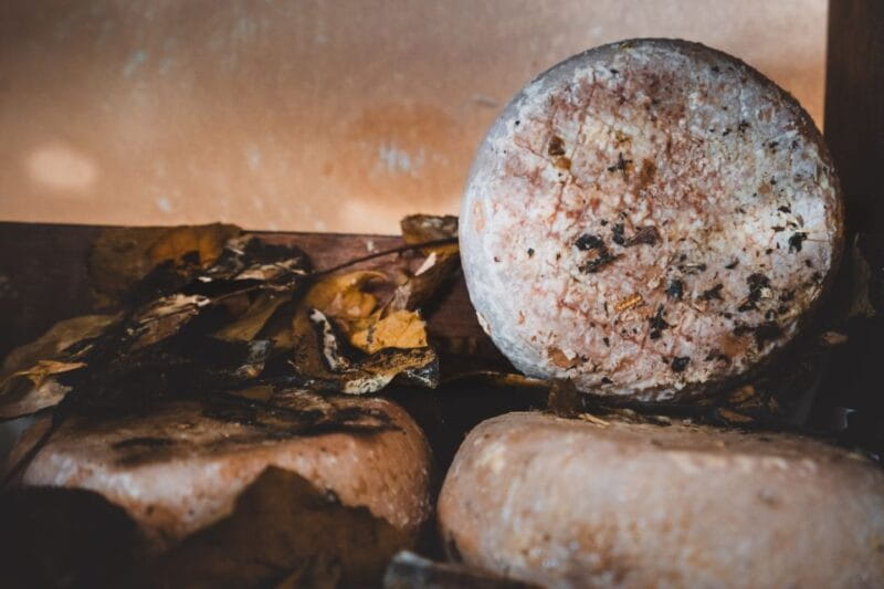 Pienza: Dairy Farm Tour with Pecorino Cheese Tasting - Visiting a Tuscan Dairy Farm: What to Expect